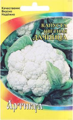 Капуста цветная Дачница – фото 15
