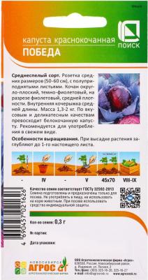 Капуста краснокочанная Победа – фото 5