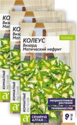 Колеус Визард – фото 16