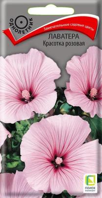 Лаватера Красотка – фото 15