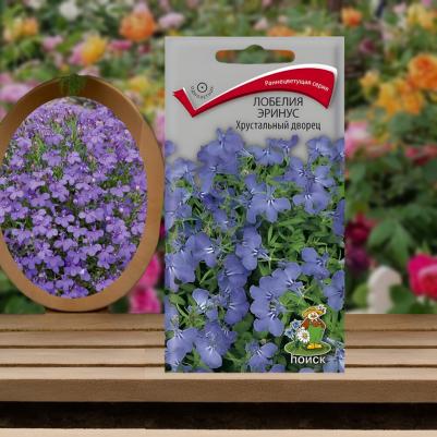 Лобелия Хрустальный дворец – фото 7