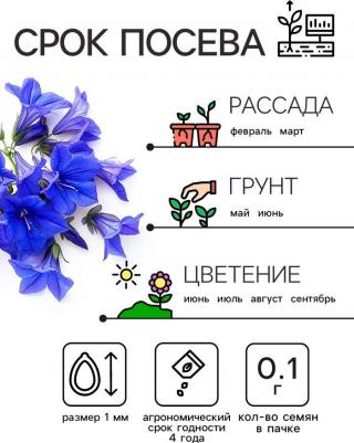 Лобелия Император Вильям – фото 13