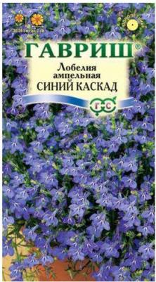 Лобелия Синий каскад – фото 10