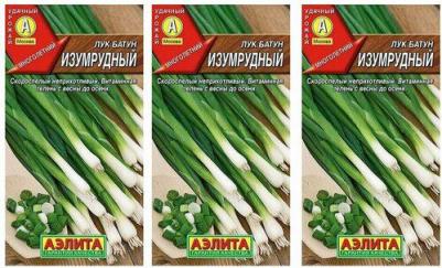 Лук батун Изумрудный