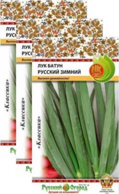 Лук батун Русский зимний – фото 4