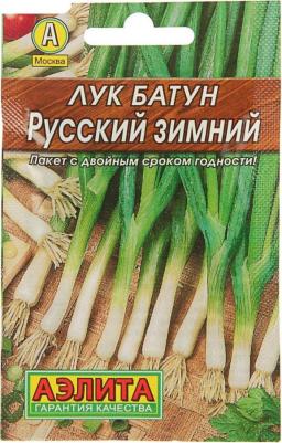 Лук батун Русский зимний – фото 10