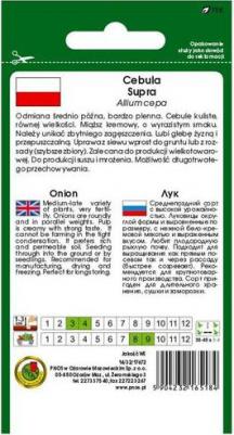 Лук репчатый Супра – фото 10