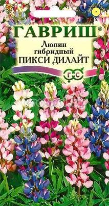 Люпин Пикси Дилайт – фото 2