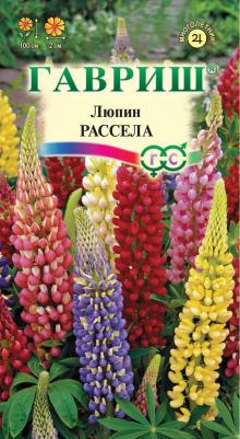 Люпин Рассела – фото 2