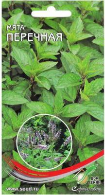 Мята Перечная