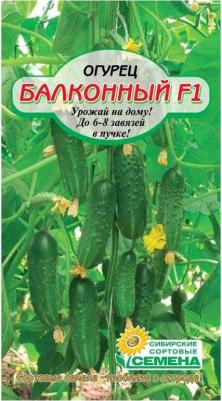 Огурец Балконный – фото 8