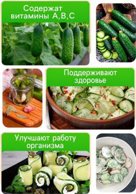 Огурец Балконный – фото 11