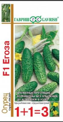 Огурец Егоза