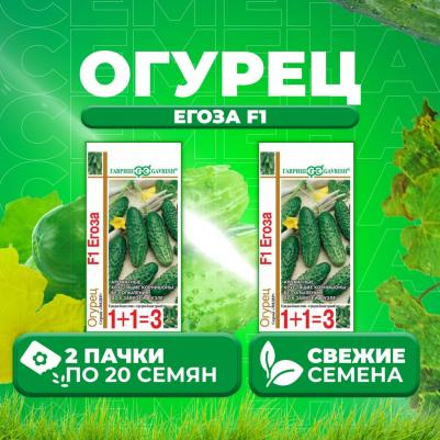 Огурец Егоза – фото 12
