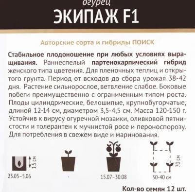 Огурец Экипаж – фото 1