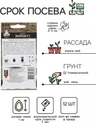 Огурец Экипаж – фото 2