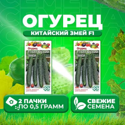 Огурец китайский змей – фото 3