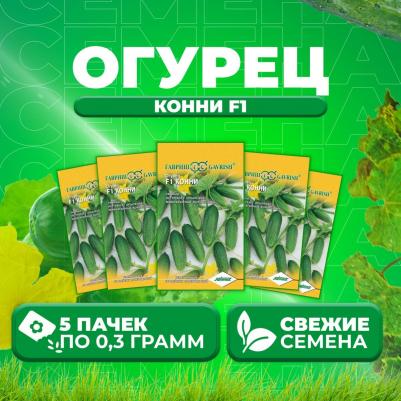 Огурец Конни – фото 2
