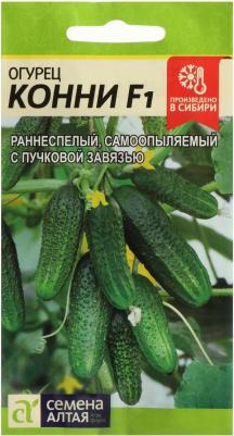 Огурец Конни – фото 14