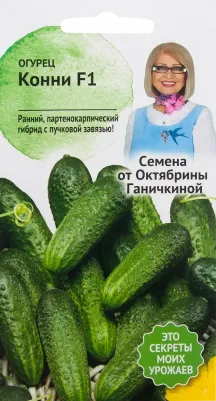 Огурец Конни – фото 16