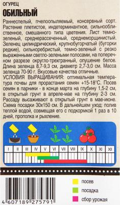 Огурец Обильный – фото 6