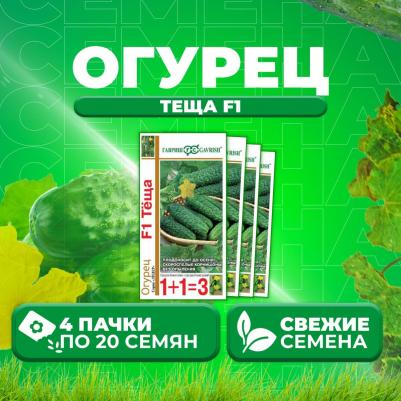 Огурец Теща – фото 4