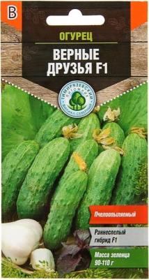 Огурец Верные друзья – фото 2
