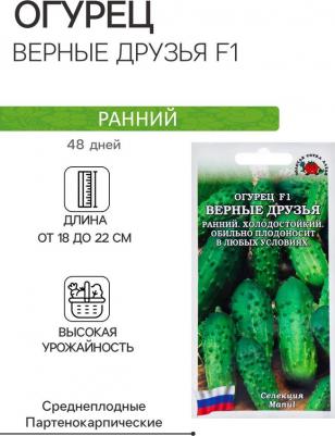 Огурец Верные друзья – фото 6