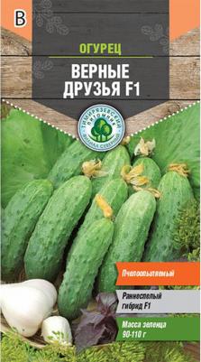 Огурец Верные друзья – фото 8