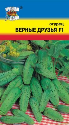 Огурец Верные друзья – фото 19