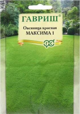 Овсяница красная Максима 1 – фото 4