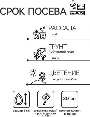 Петуния Аладдин – фото 3