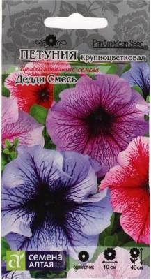 Петуния Дедди – фото 1