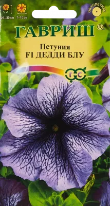 Петуния Дедди – фото 5