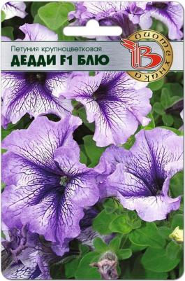 Петуния Дедди – фото 10