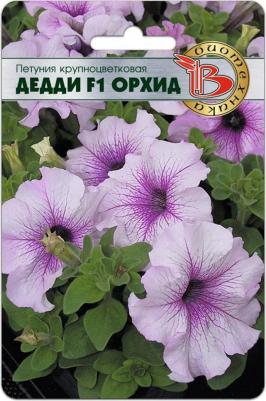 Петуния Дедди – фото 11