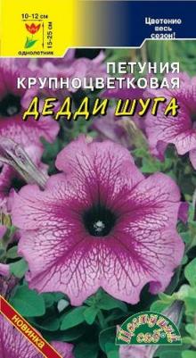 Петуния Дедди – фото 13