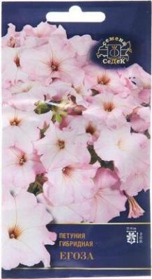 Петуния Егоза – фото 1