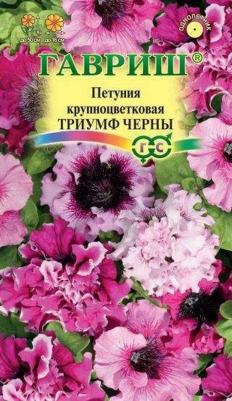 Петуния Триумф – фото 15