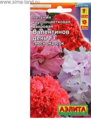 Петуния Валентинов день – фото 2