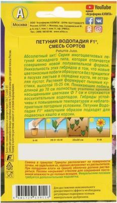 Петуния Водопадия – фото 9