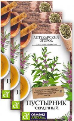 Пустырник сердечный Самарский – фото 1