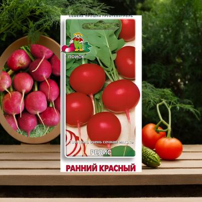 Редис Ранний красный – фото 1
