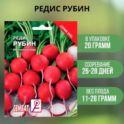 Редис Рубин – фото 2