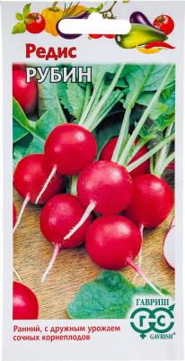 Редис Рубин – фото 4