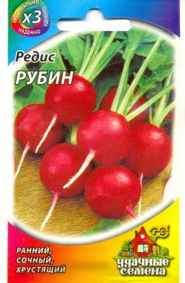 Редис Рубин – фото 5