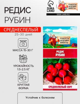 Редис Рубин – фото 6