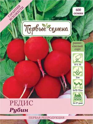 Редис Рубин – фото 7