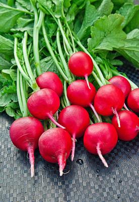 Редис Рубин – фото 8