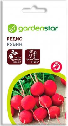 Редис Рубин – фото 10